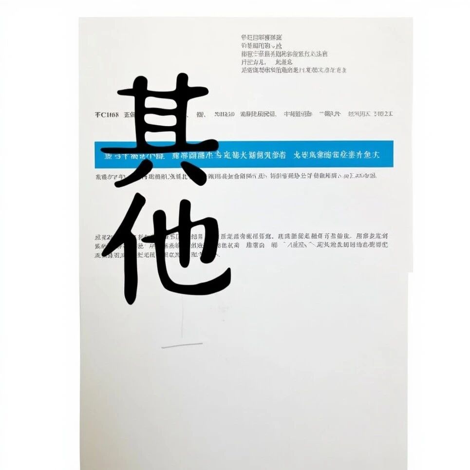 莆建便函〔2026〕214号明确：法定代表人未取得A证，安许证直接标记"其他"